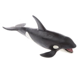 Maxbell Maxbell Kids Story Telling Animal Figure Showcase Display Model Educational Toy - Killer Whale