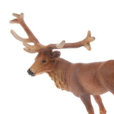 Maxbell Maxbell Realistic Male Red Deer Model Toy Action Figure Home Decorative Collectibles