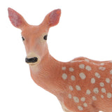 Realistic Sika Deer Doe Wolf Animal Figurine Model Action Figure Kids Toy