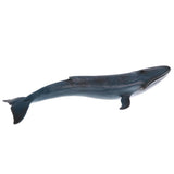 Maxbell Maxbell Simulation Animal Whale Models Action Figures Kids Educational Toy Gift Home Ornament Collectibles