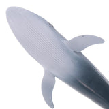 Maxbell Maxbell Simulation Animal Whale Models Action Figures Kids Educational Toy Gift Home Ornament Collectibles