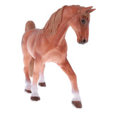 Maxbell Maxbell Realistic PVC Animal Horse Model Figurine Action Figures Kids Educational Toys Table Decor Gift