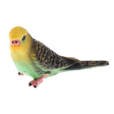 Maxbell Maxbell Cute Animal Parrot Model Figurine Action Figures Kids Playset Toy Home Ornament