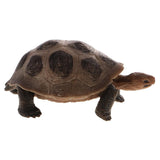 Maxbell Maxbell Realistic Animal Model Figurine Action Figures Educational Toy Tortoise #1