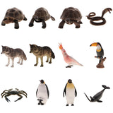 Maxbell Maxbell Realistic Animal Model Figurine Action Figures Educational Toy Tortoise #1