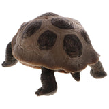 Maxbell Maxbell Realistic Animal Model Figurine Action Figures Educational Toy Tortoise #1