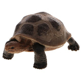 Maxbell Maxbell Realistic Animal Model Figurine Action Figures Educational Toy Tortoise #1