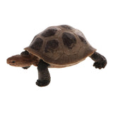 Maxbell Maxbell Realistic Animal Model Figurine Action Figures Educational Toy Tortoise #1