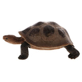 Maxbell Maxbell Realistic Animal Model Figurine Action Figures Educational Toy Tortoise #1