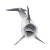 Maxbell Maxbell Realistic Animal Model Deep Color Dolphin Action Figure Figurine Children Kids Nature & Science Learning Toy Gag Toy Practical Jokes