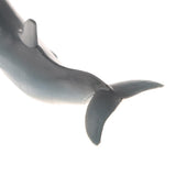 Maxbell Maxbell Realistic Animal Model Deep Color Dolphin Action Figure Figurine Children Kids Nature & Science Learning Toy Gag Toy Practical Jokes