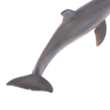 Maxbell Maxbell 2 Pieces Realistic Animal Model Figures Dolphin Figurine Kids Animal Toy