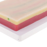 Maxbell Suturing Practice Kit 3 Layers Skin Fat Muscle Suture Pad Human Skin Training Model School Teaching Tool