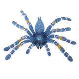 Maxbell Maxbell Realistic Science Plastic Animal Model Figure Brazilian Blue Spider Figurine Children Kids Educational Toy Home Decoration Collectibles Kids Story Telling Props