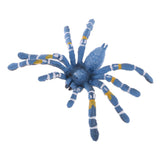 Maxbell Maxbell Realistic Science Plastic Animal Model Figure Brazilian Blue Spider Figurine Children Kids Educational Toy Home Decoration Collectibles Kids Story Telling Props