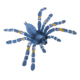 Maxbell Maxbell Realistic Science Plastic Animal Model Figure Brazilian Blue Spider Figurine Children Kids Educational Toy Home Decoration Collectibles Kids Story Telling Props