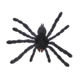 Maxbell Maxbell Realistic Science Plastic Animal Model Figure Brazilian Blue Spider Figurine Children Kids Educational Toy Home Decoration Collectibles Kids Story Telling Props