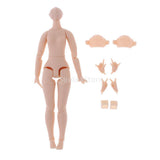 5xFlexible 20 Joints Nude Body & Hands Set for Middle Blythe Doll Costom Use