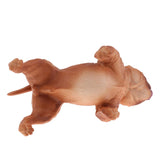 Maxbell Maxbell Simulation Wildlife Animal Model Bulldog Dog Pet Action Figures Kid Educational Toy Home Collectibles Decoration B