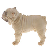 Maxbell Maxbell Simulation Wildlife Animal Model Bulldog Dog Pet Action Figures Kid Educational Toy Home Collectibles Decoration C