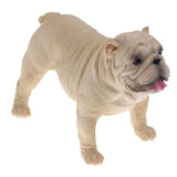 Maxbell Maxbell Simulation Wildlife Animal Model Bulldog Dog Pet Action Figures Kid Educational Toy Home Collectibles Decoration C