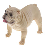 Maxbell Maxbell Simulation Wildlife Animal Model Bulldog Dog Pet Action Figures Kid Educational Toy Home Collectibles Decoration C