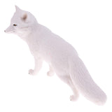 Maxbell Maxbell Lifelike Simulation Widlife White Fox Animals Model Figurine Kids Action Figure Science Nature Toys Home Decoration