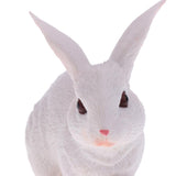 Maxbell Maxbell Lifelike Simulation Farm Zoo Rabbit Pet Animals Model Figurine Kids Figure Science Nature Toys Home Decoration