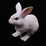 Maxbell Maxbell Lifelike Simulation Farm Zoo Rabbit Pet Animals Model Figurine Kids Figure Science Nature Toys Home Decoration