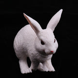 Maxbell Maxbell Lifelike Simulation Farm Zoo Rabbit Pet Animals Model Figurine Kids Figure Science Nature Toys Home Decoration