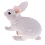 Maxbell Maxbell Lifelike Simulation Farm Zoo Rabbit Pet Animals Model Figurine Kids Figure Science Nature Toys Home Decoration