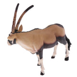 Maxbell Maxbell Simulation Wildlife Forest Antelope Animal Model Action Figures Toys Kid Educational Toy Home Office Collectibles Decoration