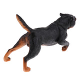 Maxbell Maxbell Simulation Wildlife Animal Model Rottweiler Dog Pet Action Figures Kid Educational Toy Home Collectibles Decoration