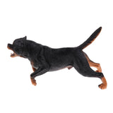 Maxbell Maxbell Simulation Wildlife Animal Model Rottweiler Dog Pet Action Figures Kid Educational Toy Home Collectibles Decoration