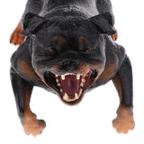 Maxbell Maxbell Simulation Wildlife Animal Model Rottweiler Dog Pet Action Figures Kid Educational Toy Home Collectibles Decoration