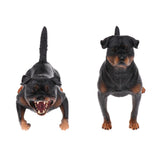 Maxbell Maxbell Simulation Wildlife Animal Model Rottweiler Dog Pet Action Figures Kid Educational Toy Home Collectibles Decoration