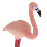 Maxbell Maxbell Simulation Wildlife Jungle Flamingo Bird Animal Model Action Figures Toys Kid Educational Toy Home Office Collectibles Decoration - C