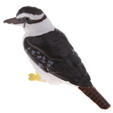 Maxbell Maxbell Simulation Wildlife Bird kookaburra Animal Model Action Figures Toys Kid Educational Toy Home Office Collectibles Decoration