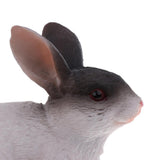 Maxbell Maxbell Realistic Plastic Animal Model Figure Rabbit Model Figurine Kids Toy Both Indoor/Outdoor Play Home Office Decoration Birthday Gift