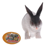 Maxbell Maxbell Realistic Plastic Animal Model Figure Rabbit Model Figurine Kids Toy Both Indoor/Outdoor Play Home Office Decoration Birthday Gift