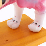 Maxbell Maxbell Dog & Cat Acupuncture Anatomical Model With Acupuncture Points Professional Teaching Tool Science Educational