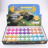 Maxbell Maxbell 36 Pieces Colorful Turtle Eggs Hatching Toy with Mini Tortoise Figures Inside