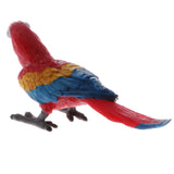 Simulation Animal Model Figure Toy Figurine Home Decor Red Parrot Bald Eagle