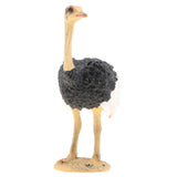 Maxbell Maxbell 2pcs Simulation Wild Animal Model Figure Toys Figurine Home Decor Ostrich