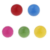 2 Pieces 9 Inch Kids Knobby Bouncy Ball Yoga Massage Spiky Sensory Ball 01