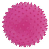 2 Pieces 9 Inch Kids Knobby Bouncy Ball Yoga Massage Spiky Sensory Ball 03