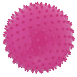 2 Pieces 9 Inch Kids Knobby Bouncy Ball Yoga Massage Spiky Sensory Ball 03