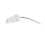 Maxbell 2x Realistic Mouse Statue Emulation Animal Model Kids Educational Toy