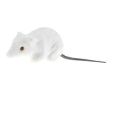 Maxbell 2x Realistic Mouse Statue Emulation Animal Model Kids Educational Toy