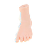 Maxbell Maxbell 1:1 Lifesize Human Flat Foot Model with Ligaments Bones Muscles Anatomical Model Kit